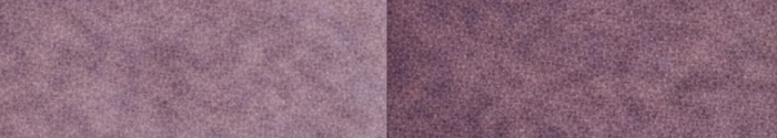 Turul 1900 – scala colori 5