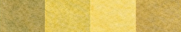 Turul 1909 – 2 färgskala